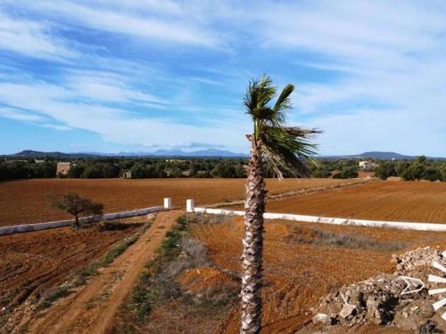 Terreno en venta Felanitx