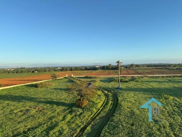 Terreno en venta Felanitx