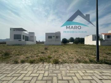 TERRENO EN VENTA FINCA LAS MEMORIAS ATLIXCO PUEBLA