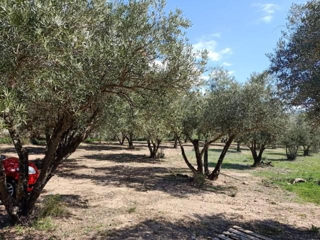 Terreno en venta Fondón
