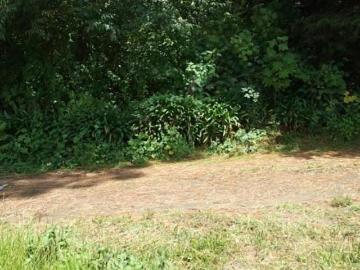 Terreno de 479 m² en venta en Fraccionamiento Presa Escondida