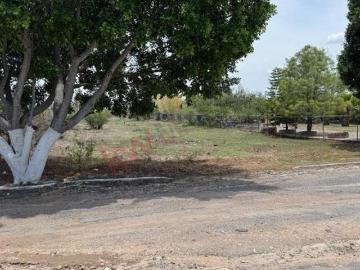 Terreno en Venta, Fraccionamiento California, San Francisco del Rincón