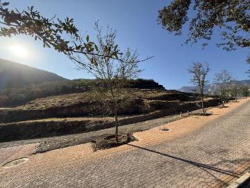 TERRENO EN VENTA FRACCIONAMIENTO LAS ESTANCIAS CARRETERA NACIONAL MONTERREY