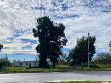 Terreno en venta frente a Boulevard Alvaro Obregon, Col La Laguna, Reynosa Tams