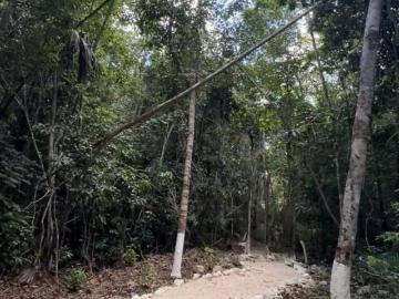 Terreno en venta frente a la laguna de Bacalar