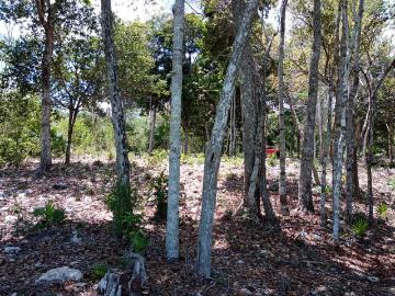 Terreno en Venta frente a Laguna Chile Verde cerca de Chetumal EM02021