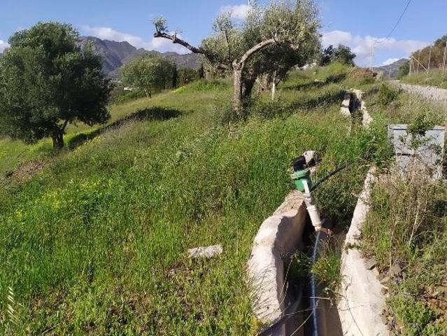 Terreno en venta Frigiliana