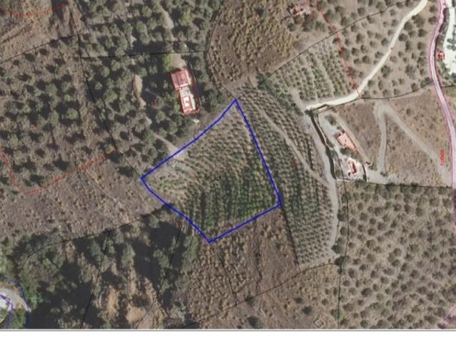Terreno en venta Frigiliana
