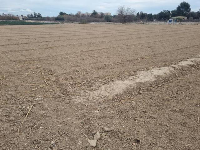 Terreno en venta Guardamar del Segura