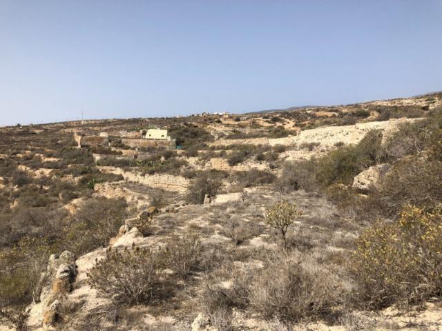 Terreno en venta Güimar