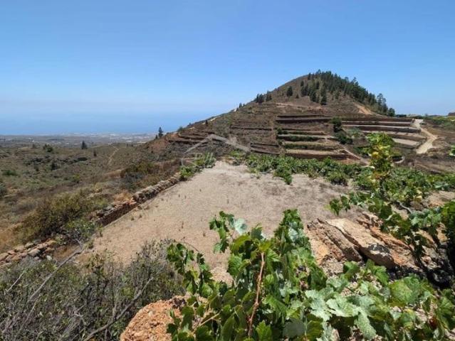 Terreno en venta Guía de Isora