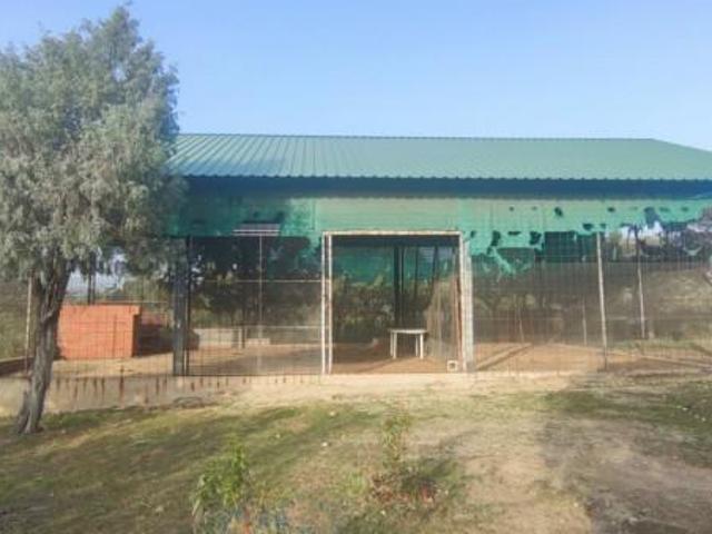 Terreno en venta Galapagar