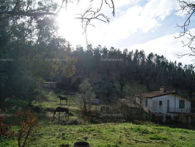 Terreno en venta Galaroza