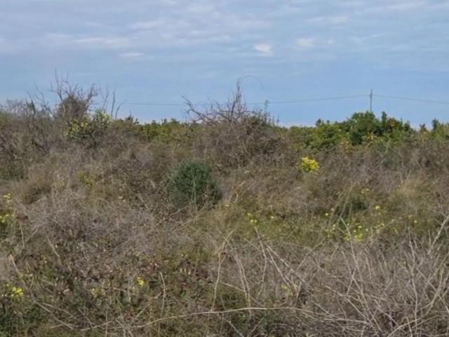 Terreno en venta Gandia