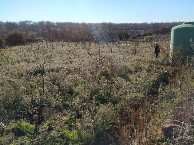 Terreno en venta Gargüera