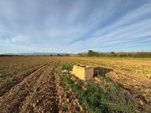 Terreno en venta Garriguella