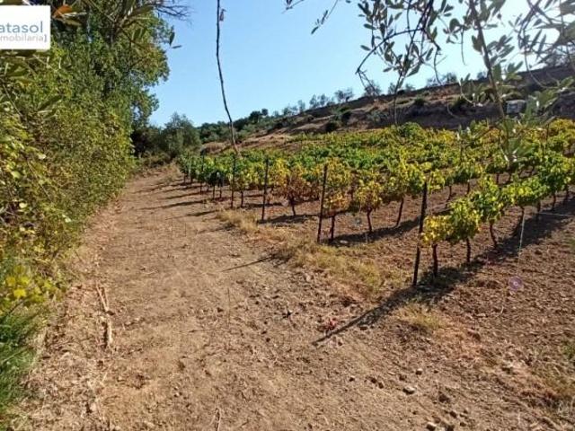 Terreno en venta Gerena