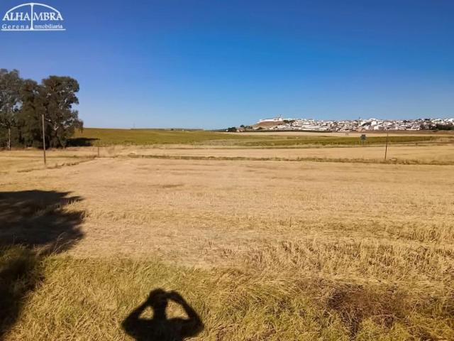 Terreno en venta Gerena