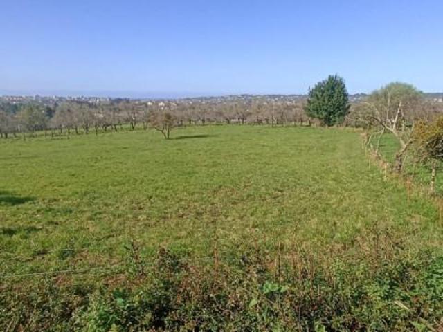 Terreno en venta Gijón