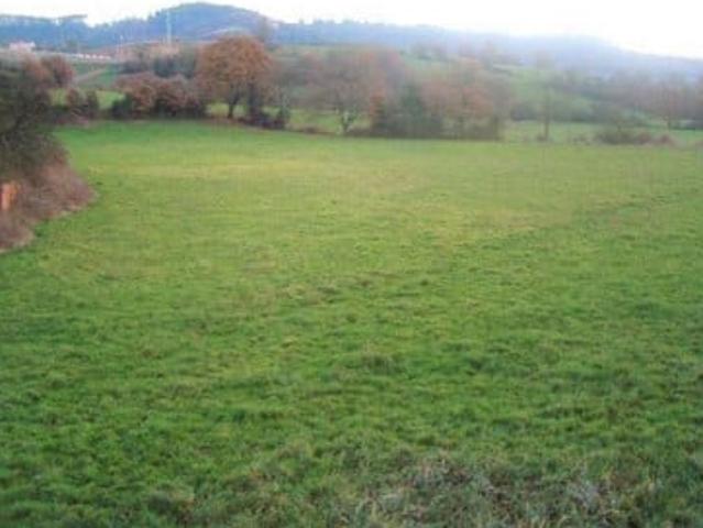 Terreno en venta Grado
