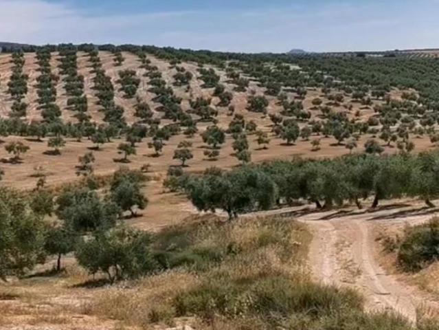 Terreno en venta Huelma