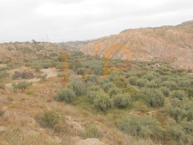 Terreno en venta Huércal Overa
