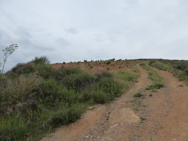Terreno en venta Huétor Vega
