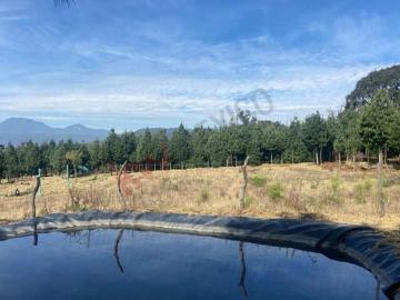 TERRENO EN VENTA HUITZILAC