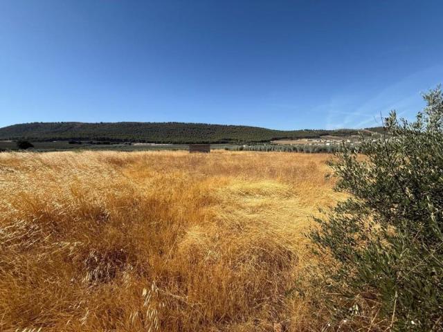Terreno en venta Humilladero