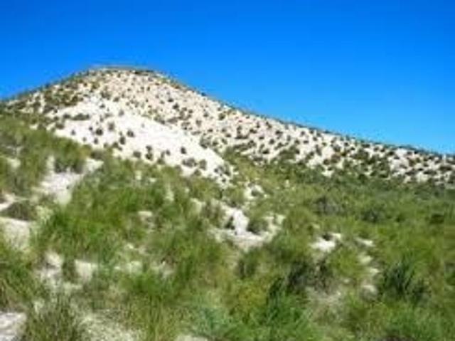 Terreno en venta Hellín