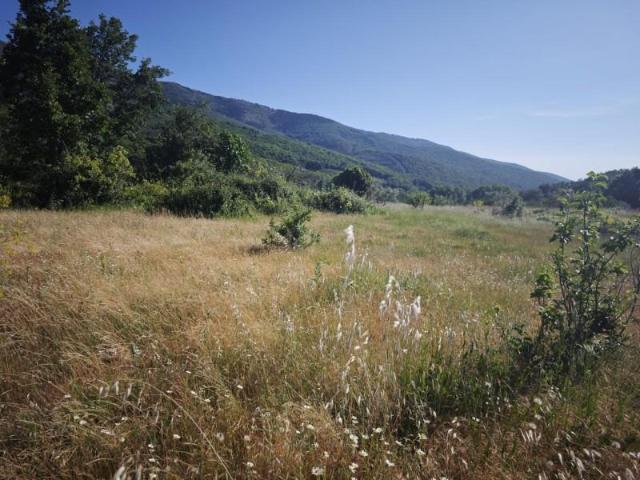 Terreno en venta Hervás