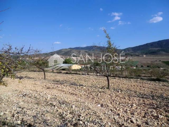 Terreno en venta Hondon de las Nieves