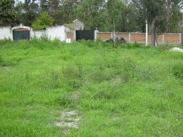Terreno en venta Ixtlahuacan de los Membrillos Jalisco