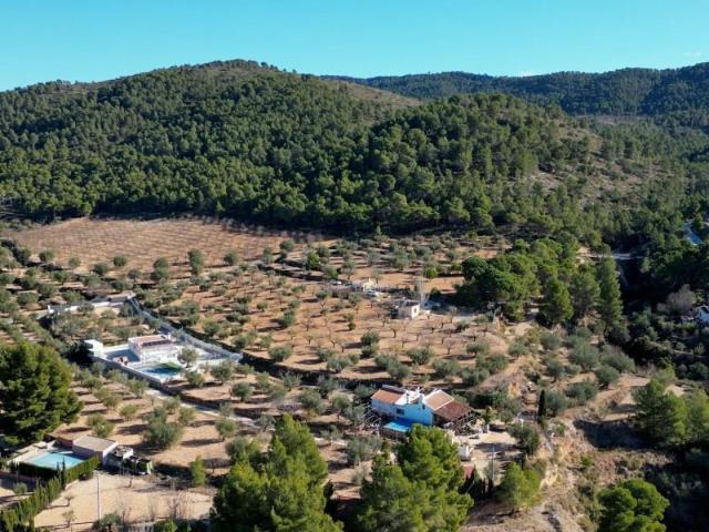 Terreno en venta Ibi