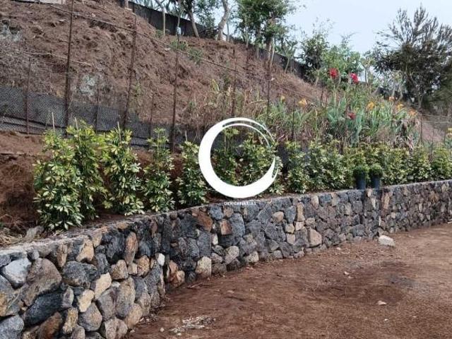 Terreno en venta Icod de los Vinos