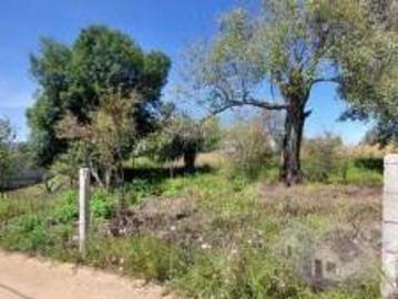 ¡Terreno en venta ideal para cabaña cerca de Huasca!