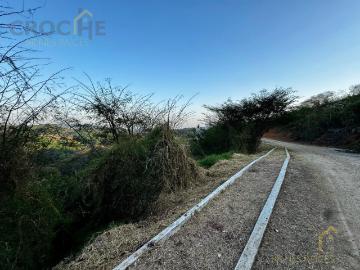 Terreno en venta Imperial del Bosque, adelante de Coapexpan