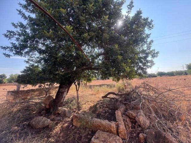 Terreno en venta Inca