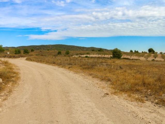 Terreno en venta Jumilla
