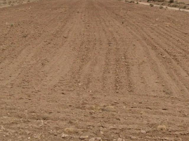 Terreno en venta Jumilla