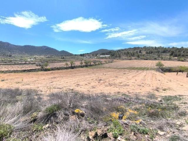 Terreno en venta Jumilla