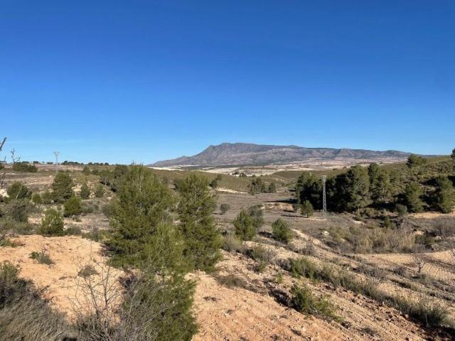 Terreno en venta Jumilla