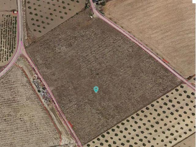 Terreno en venta Jumilla