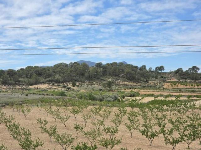 Terreno en venta Jumilla