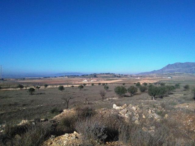 Terreno en venta Jumilla