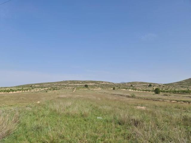 Terreno en venta Jumilla