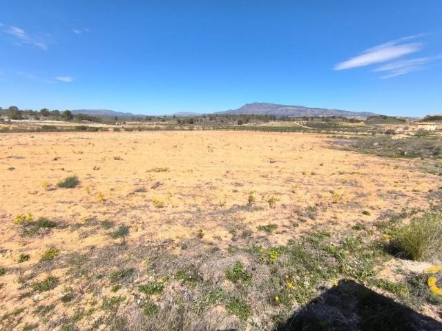 Terreno en venta Jumilla