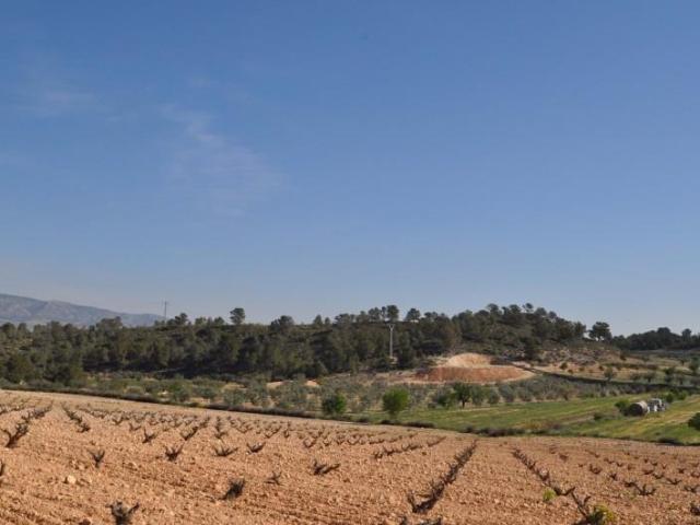 Terreno en venta Jumilla