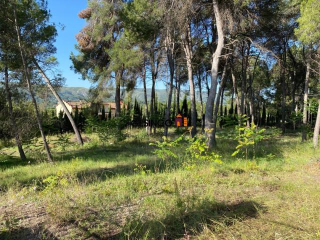 TERRENO EN VENTA JUNTO A LA URBANIZACION LAS AGUAS Y LA PUREZA