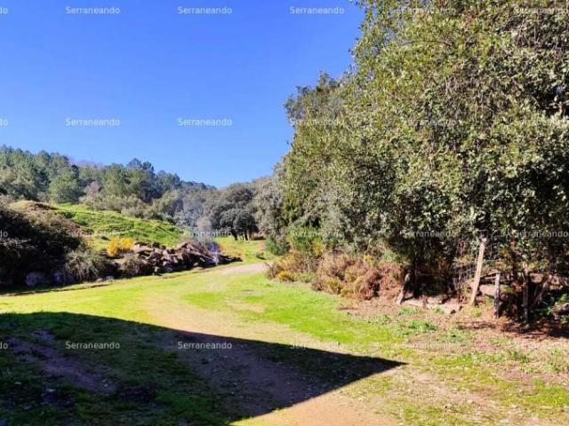 Terreno en venta Jabugo